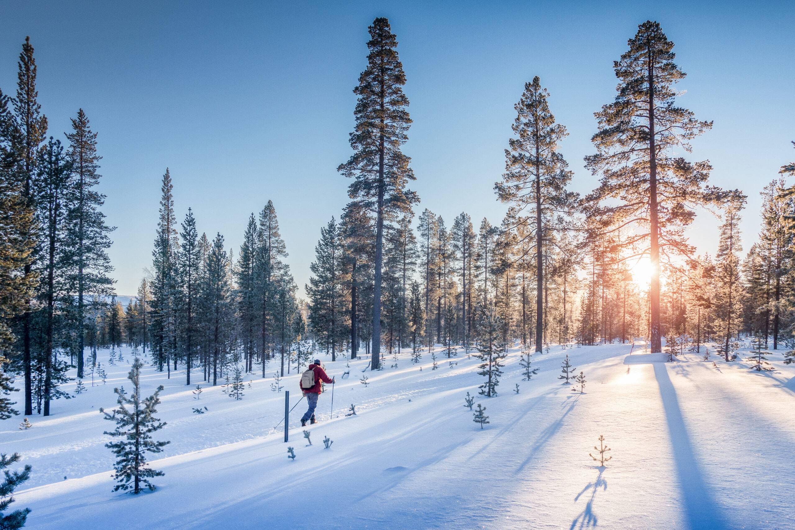 Abenteuer im Schnee: Ideen für deinen Winterurlaub