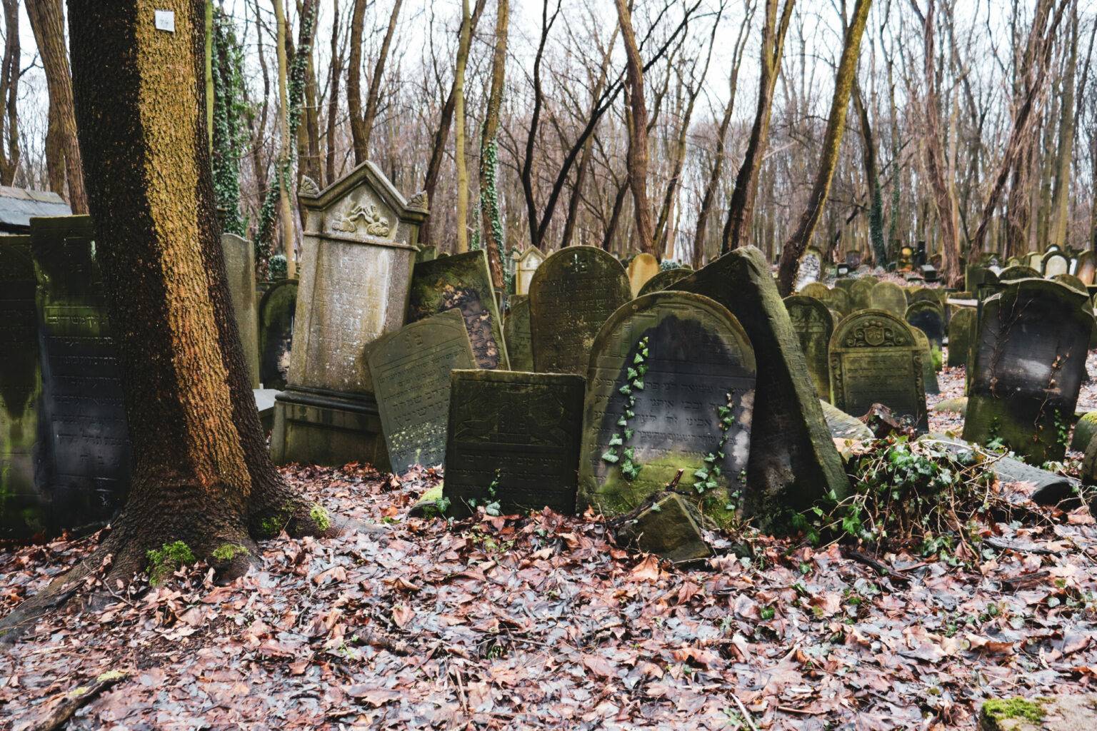 Der Jüdische Friedhof versprüht schaurig-schönen Charme.