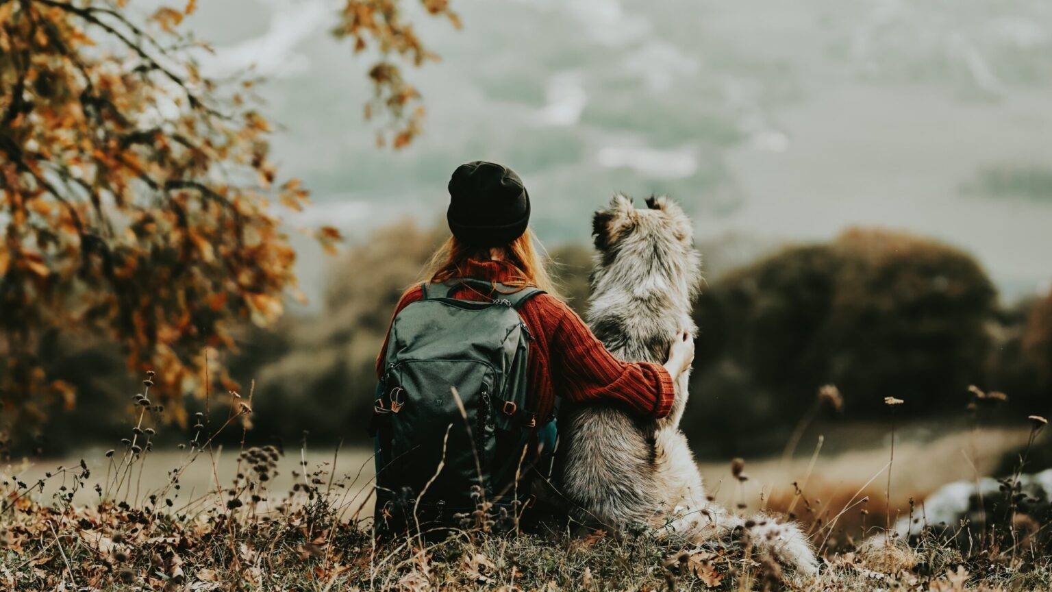 Wer mit Hund ins neue Jahr startet, hat immer seinen Feierbuddy dabei.