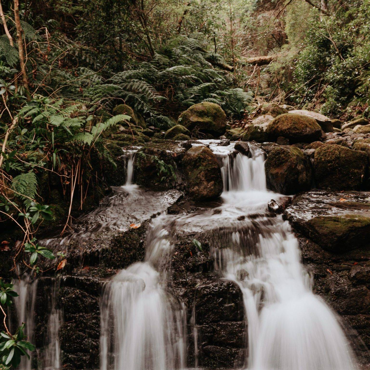 Ein kleiner Wasserfall fällt imposant im Wald einen Abhang hinab.