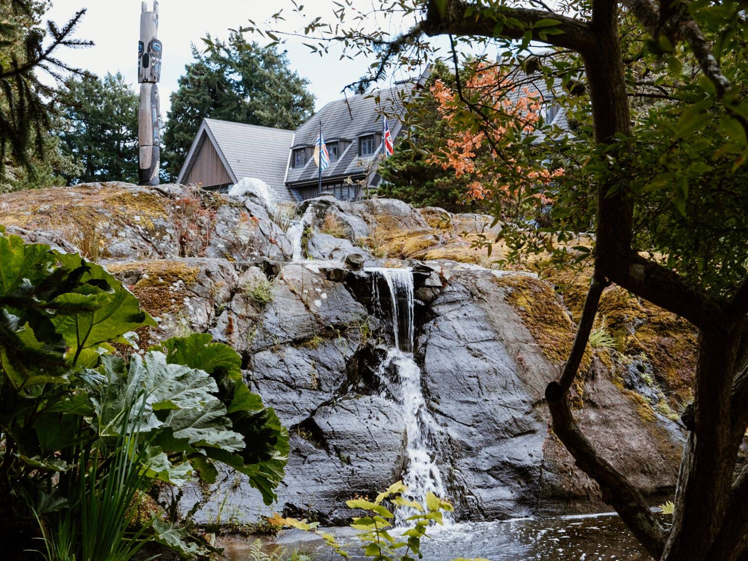 Ein kleiner Wasserfall im Garten des Government House.