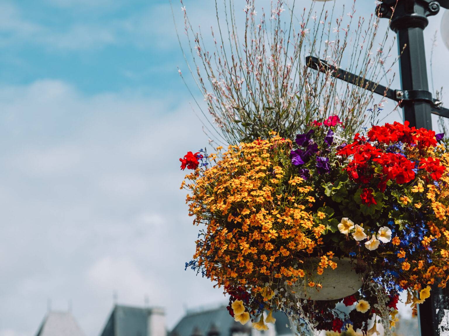 Blumenschmuck an einer Straßenlaterne.