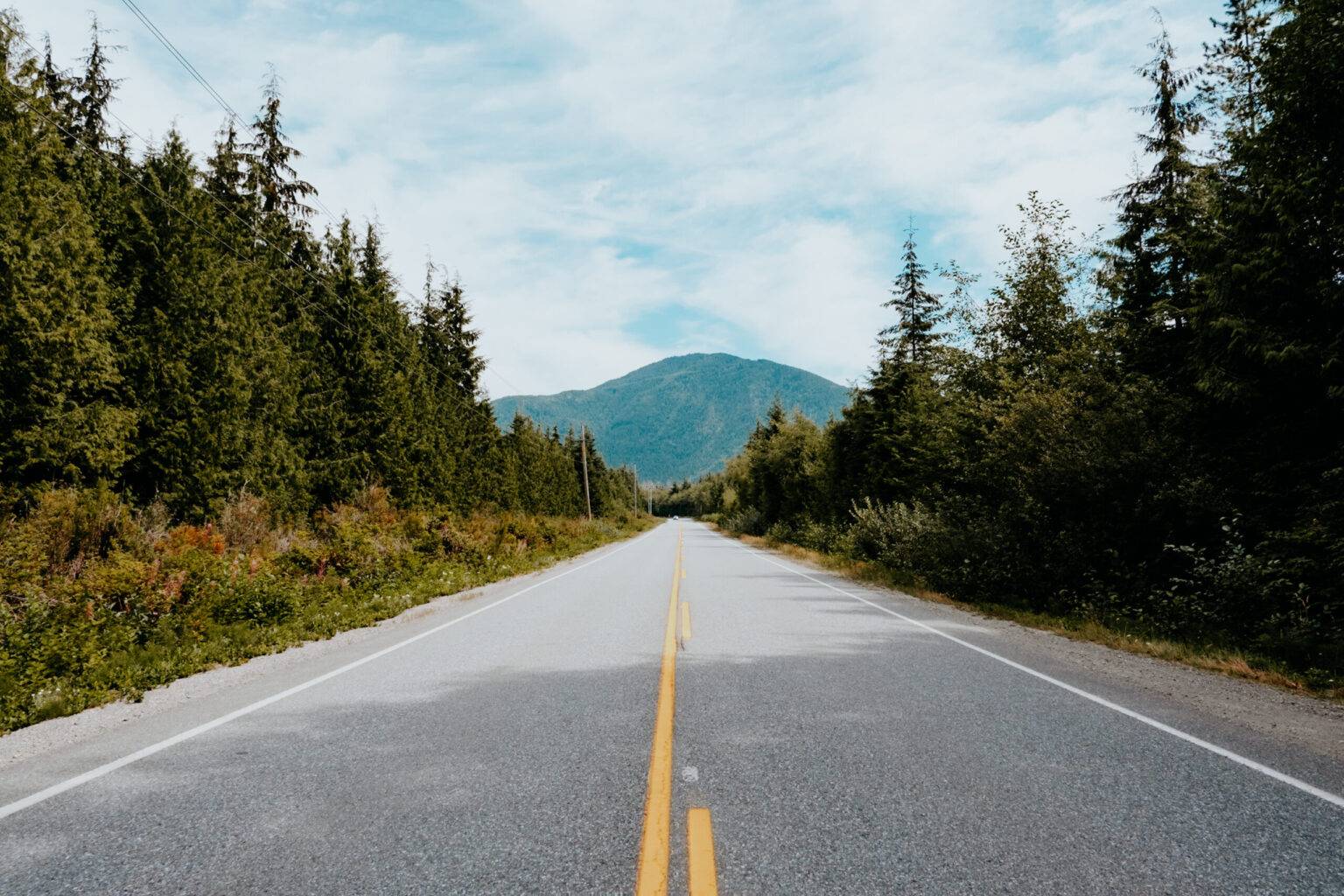 Vancouver Island eignet sich perfekt für einen unvergesslichen Roadtrip.