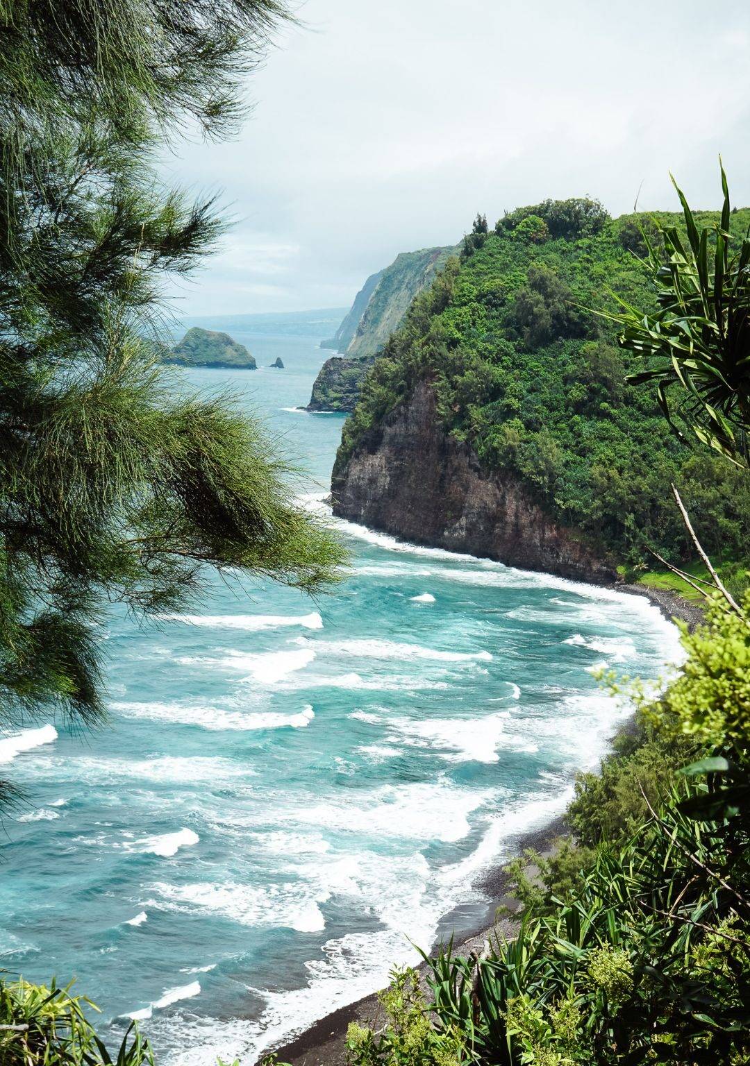 Die grüne Küste eine hawaiianischen Insel.