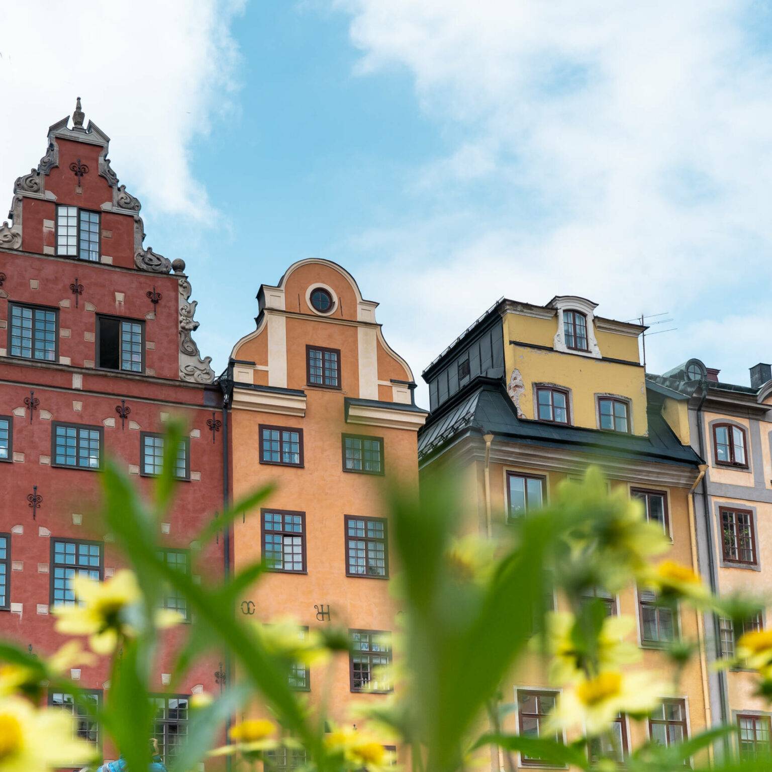 Die bunten Häuser laden in der Stockholmer Altstadt Gamla Stan sind ein Touristenmagnet.