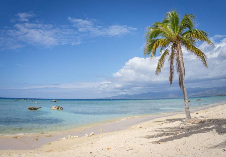 Eine einzelne Palme weht sanft im Wind an einem menschenleeren Sandstrand am hellblauen Meer von Kuba.