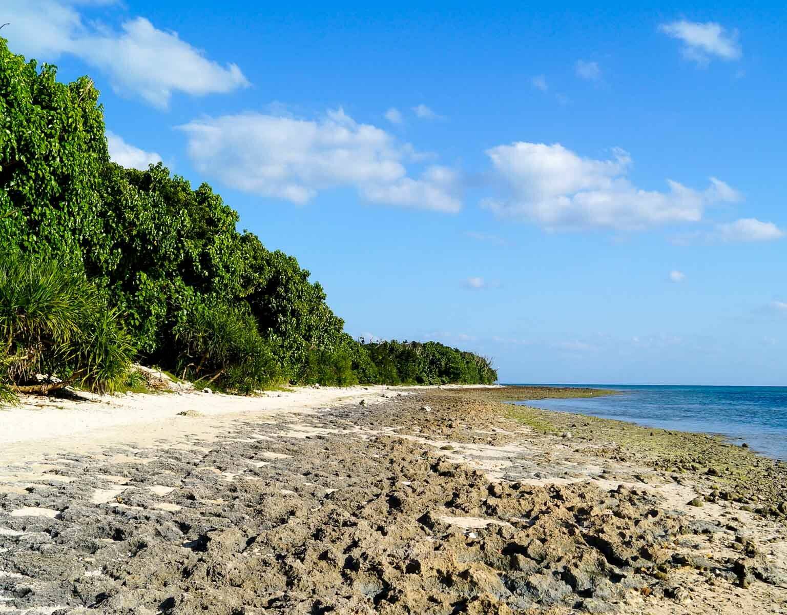 Das Ufer des einsamen Strandes von Kaiji, der japanischen Insel Taketomi der japanischen Yaeyama Inseln, ist von dichten dunkelgrünen Pflanzen gesäumt, der Sandstrand ist mit Steinen durchzogen und das Meer schimmert tief blau.