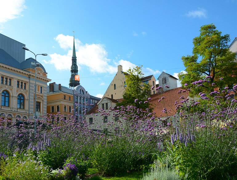 Hinter lila Blumen verstecken sich wunderschöne Häuserfassaden im Jugendstil, sie zieren das Stadtbild Rigas in Lettland.