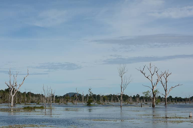 Über einen Holzsteg gelangt man zum Tempel Neak Pean, der auf einer künstlichen Insel liegt.