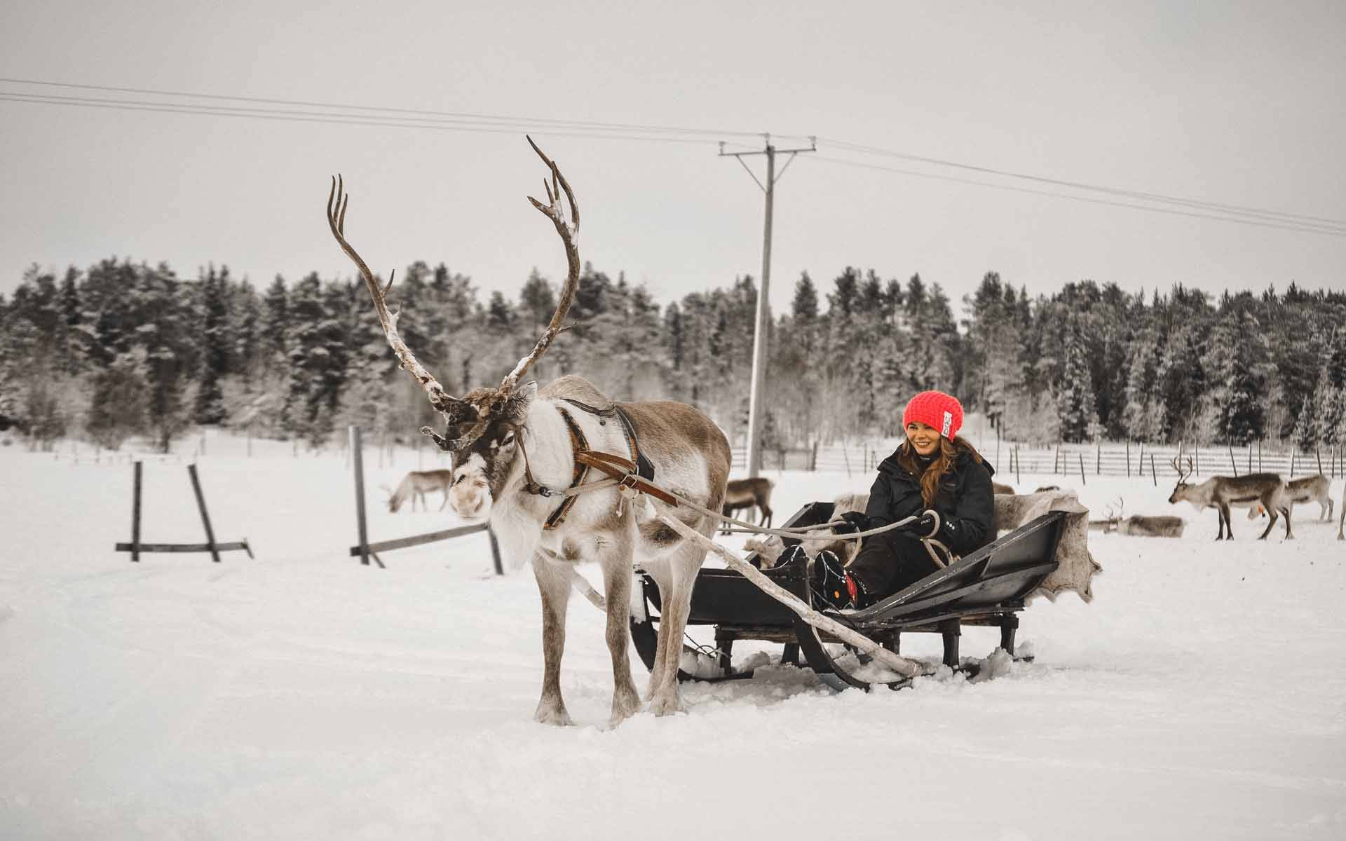 Finnisch Lappland – ein Winterwunderland