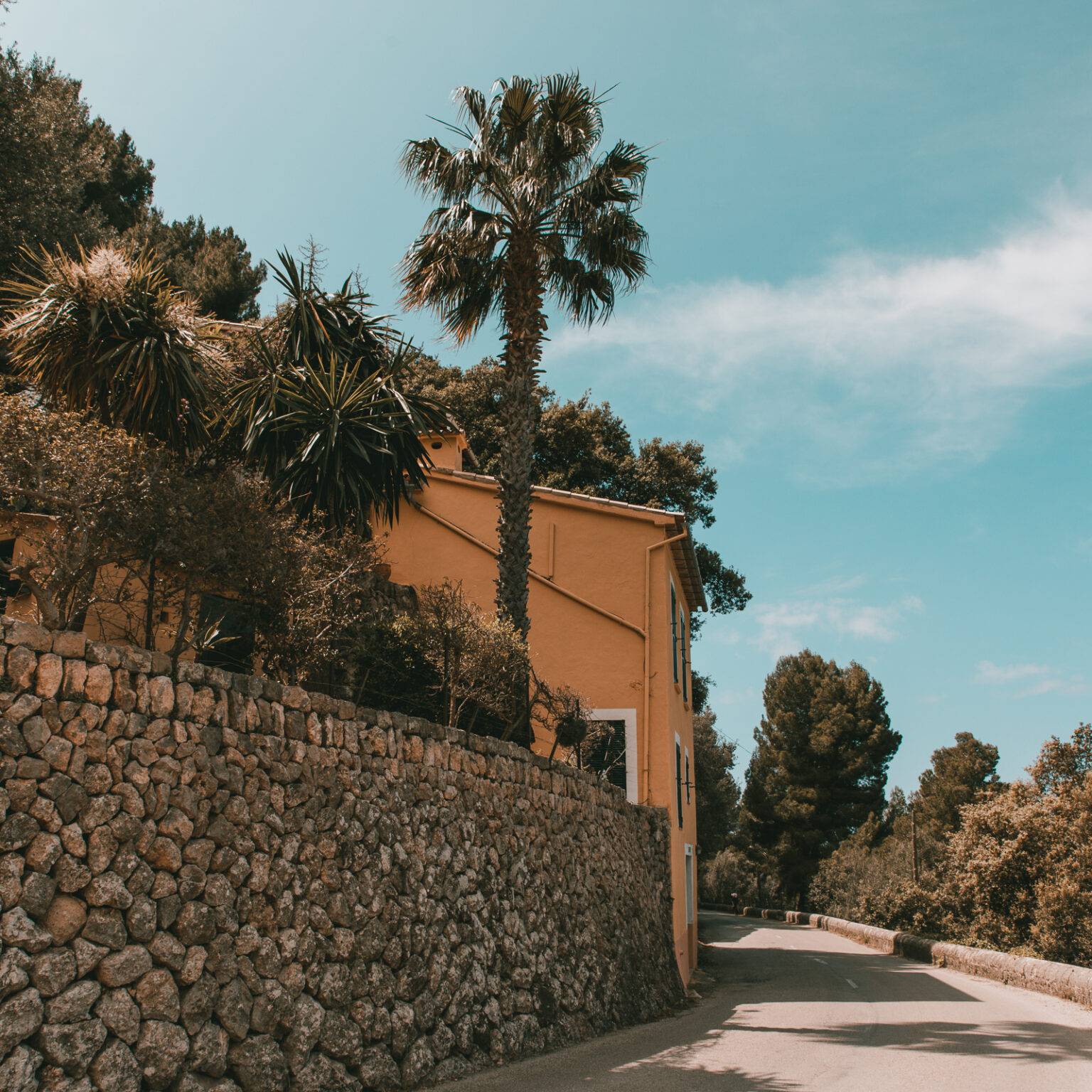 Eine kurvige Straße umgeben von Palmen entlang einer Mauer führt in das Dorf Deià auf Mallorca.