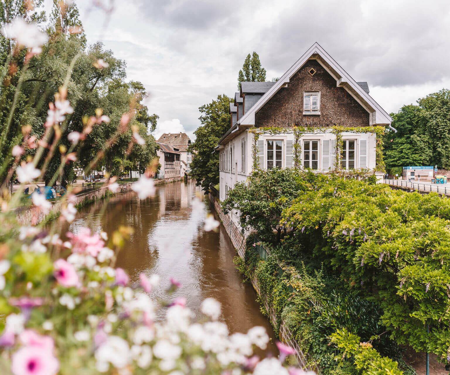 Das Rathaus von Strassburg liegt direkt am Fluss und wird von schönen Büschen und Blumen geschmückt.