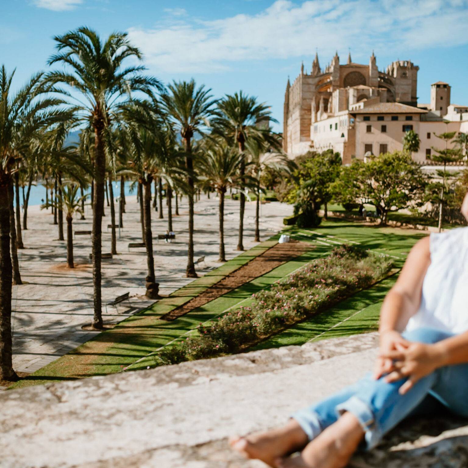 Blick auf die zur beigefarbenen Kathedrale La Seu in Mallorcas umgeben von hochwachsenden Palmen.