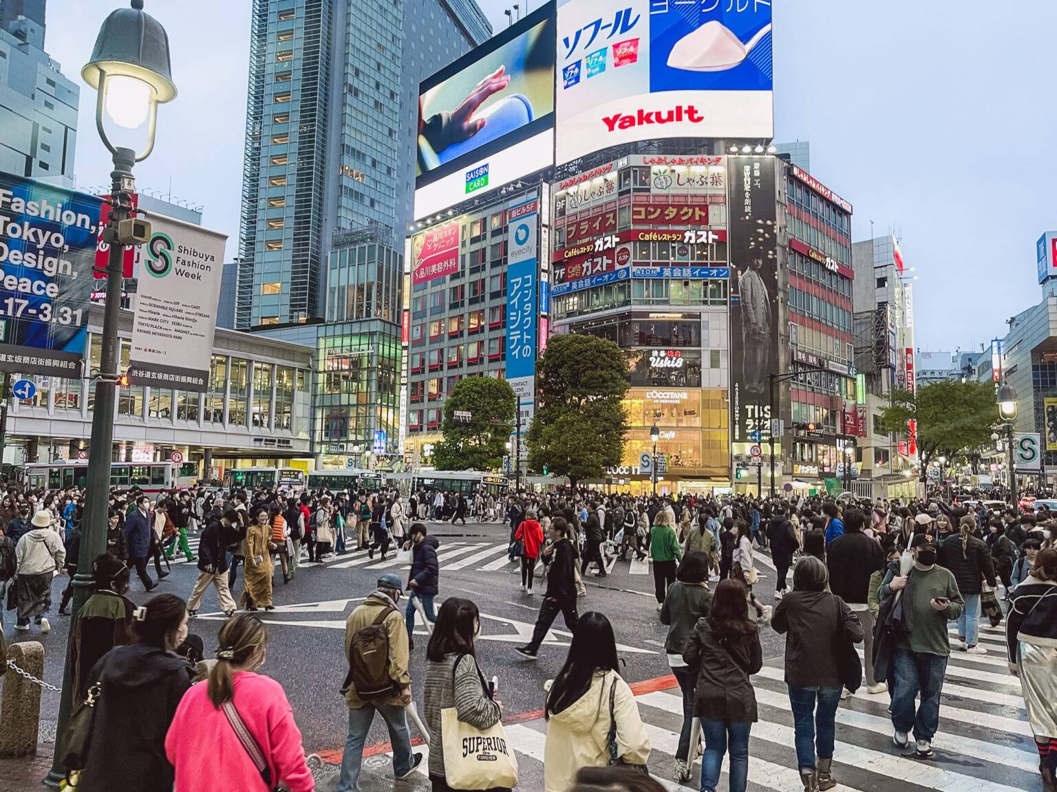 Rund 250.000 Menschen schieben sich Tag für Tag über die Shibuya Kreuzung. 