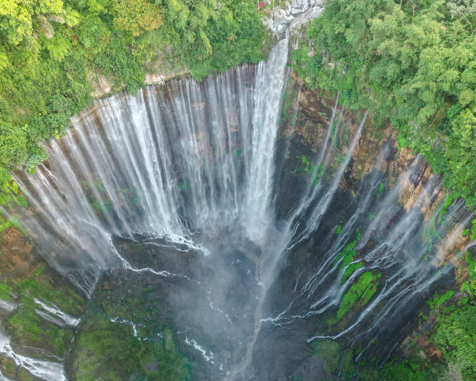 Verschiedene grüne Pflanzen umgeben den Tumpak Sewu Wasserfall in Java.