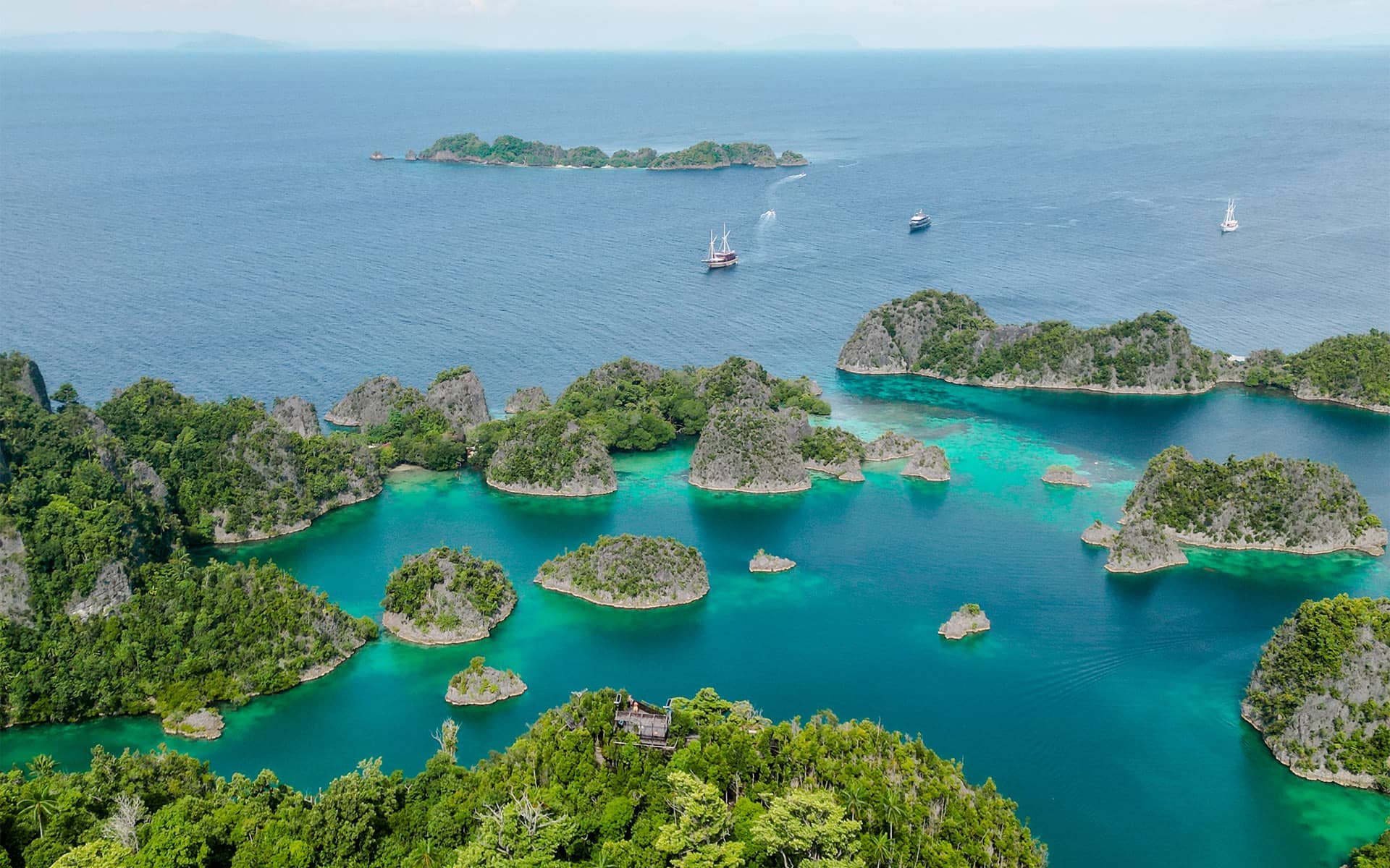 Raja Ampat entdecken: Ein Paradies für Taucher und Naturliebhaber