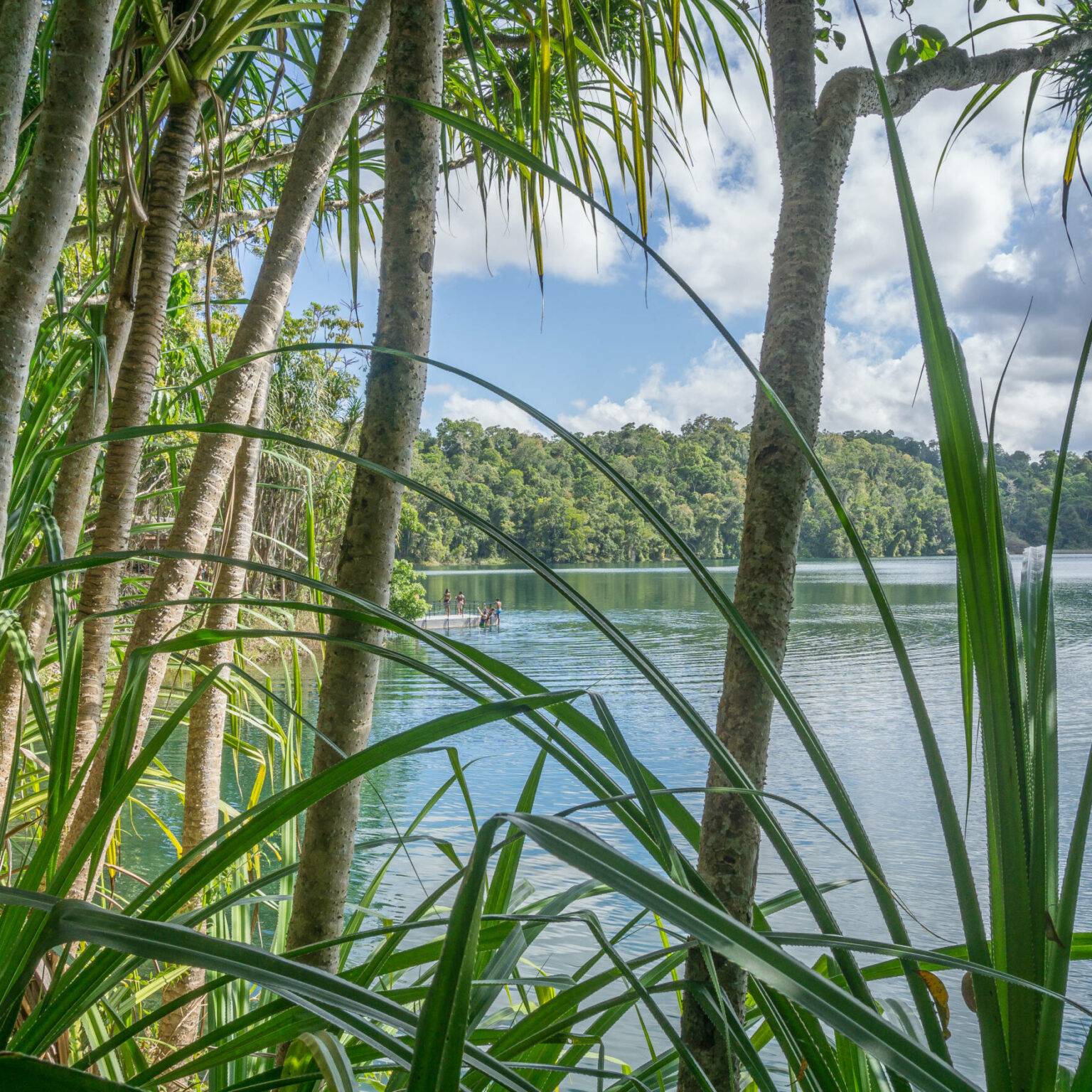 Der Lake Eacham in Queensland ist umschlossen von vielen grünen Pflanzen.