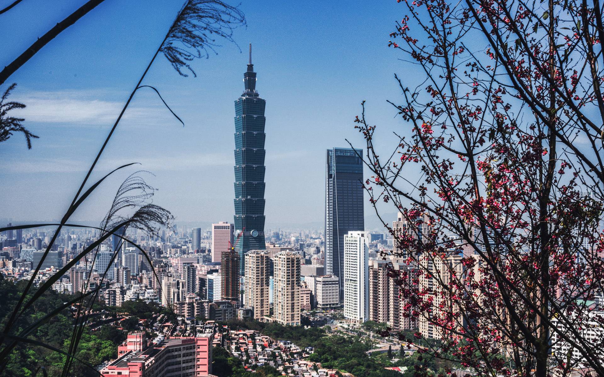Taipeh: Die besten Sehenswürdigkeiten in Taiwans Hauptstadt erleben