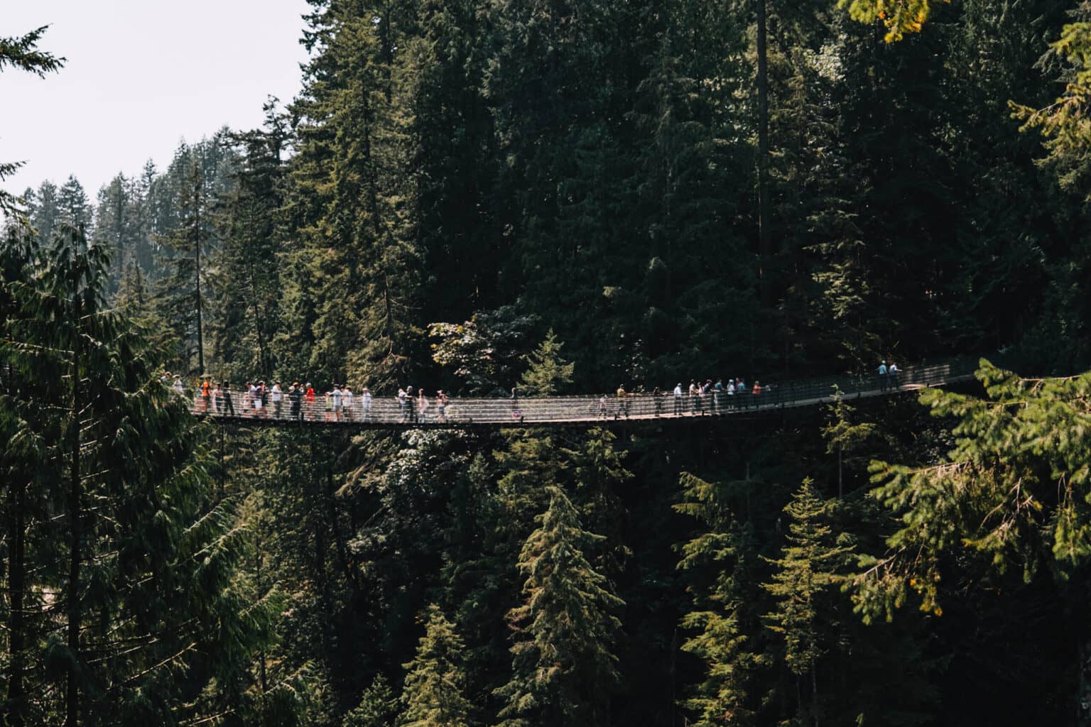 Einige Menschen laufen über die Capilano Suspension Bridge.