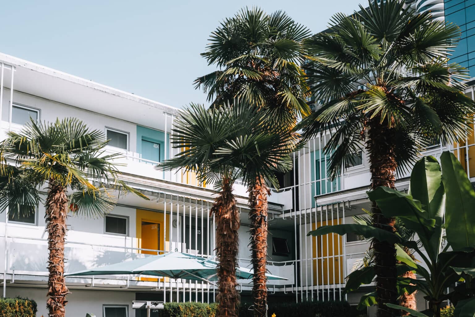 Die Fassade des The Burrard in Vancouvers Downtown hinter einigen Palmen.