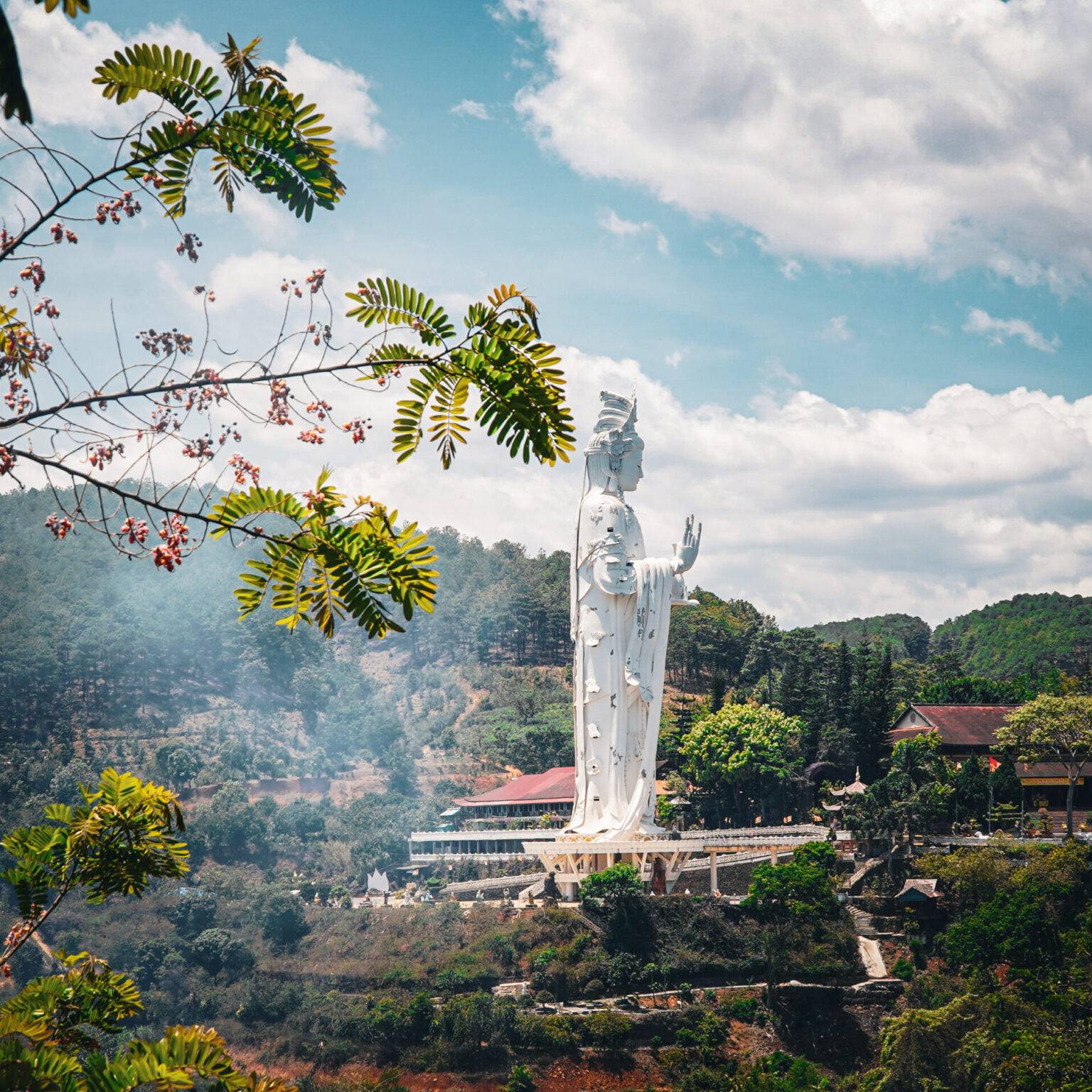 Eine große weibliche weiße Buddhafigur steht auf einer Anhöhe umgeben von Pinien und Kaffeeplantagen.