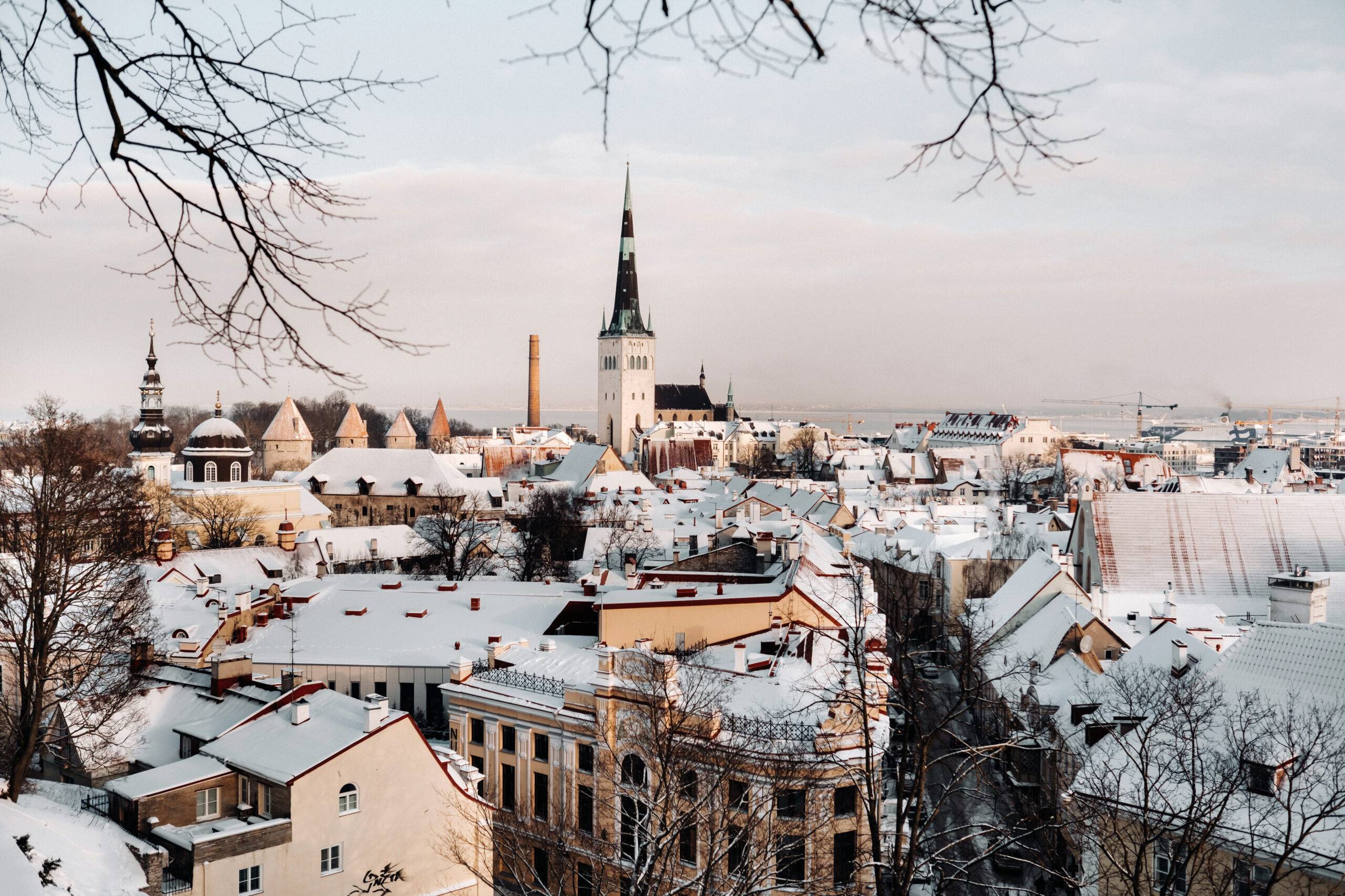 Auf den Spitzdächern von Tallinns Altstadt liegt Schnee.