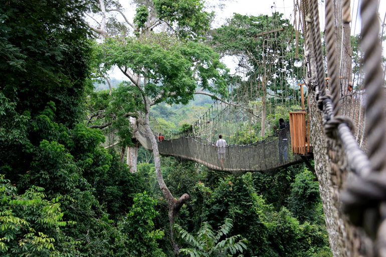 Seilbrücke des Canopy Walk im Kakum Nationalpark in Ghana